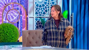 Давай поженимся. Выпуск от 10.04.2026