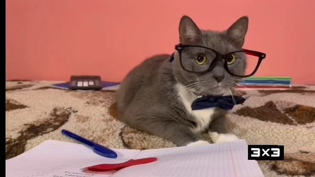 3х3 Лысухи. Эфир. 10 апреля