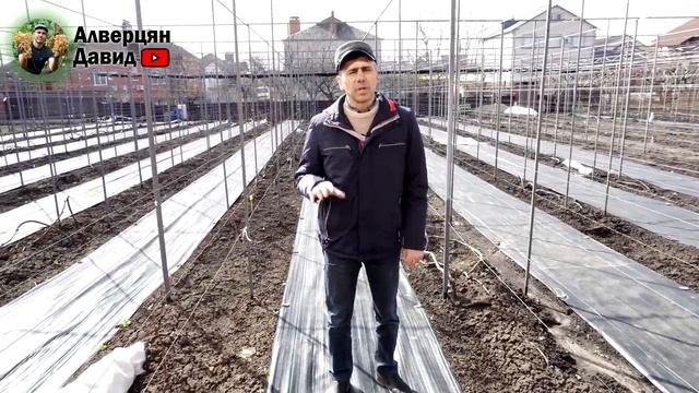 План работ на винограднике в апреле (01.04.2024) (Видеоблог Давида Алверцяна)