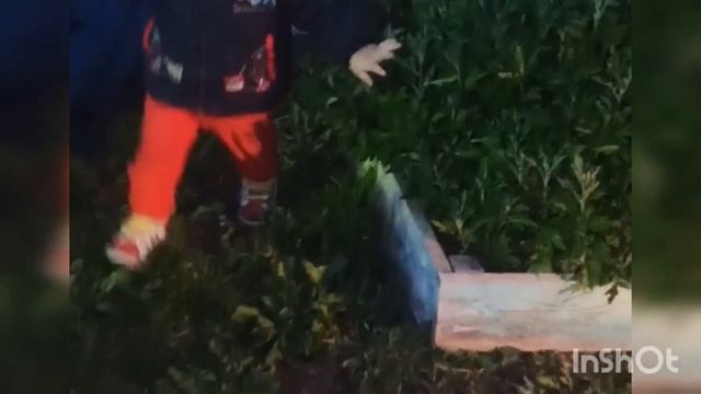 Деревня внуки. Архив.