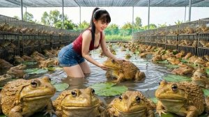 Ловлю жирных жаб, собираю личинки шелкопряда и кабачки. Торговля на рынке. Фуонг. Таймлапс