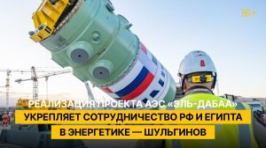 Реализация проекта АЭС «Эль-Дабаа» укрепляет сотрудничество РФ и Египта в энергетике — Шульгинов