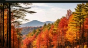 я буду читать приметы