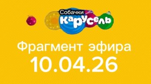 Фрагмент эфира телеканала "Карусель Собачки" 10.04.26