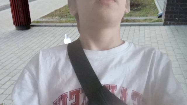 типичные друзья