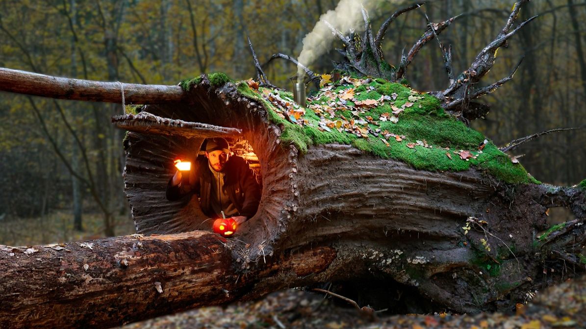 ТУНЕЛЬНАЯ ИЗБУШКА. СТРОЮ НЕОБЫЧНОЕ УКРЫТИЕ НА УПАВШЕМ ДЕРЕВЕ.