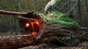 ТУНЕЛЬНАЯ ИЗБУШКА. СТРОЮ НЕОБЫЧНОЕ УКРЫТИЕ НА УПАВШЕМ ДЕРЕВЕ.