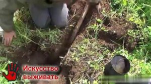 Земляная печь