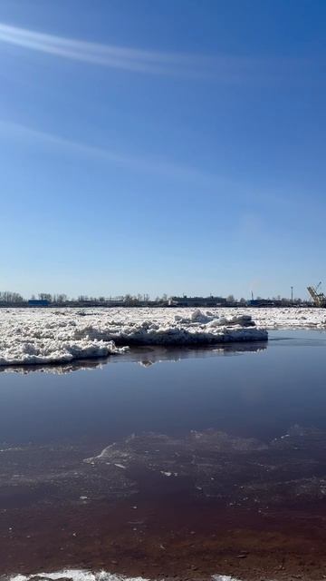 Природа от доцента кафедры промышленной биотехнологии