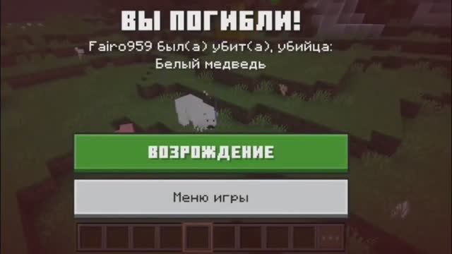 КАК Я СРАЖАЮСЬ С МЕДВЕДЯМИ РАДИ ЕДЫ