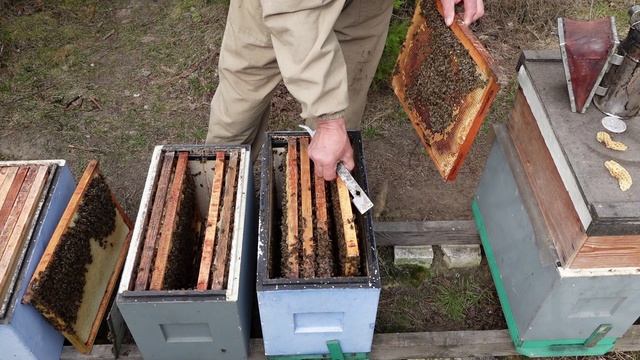 Холода продолжаются,а пчела требует внимания.