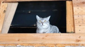 Стрим Рутуб 10.04.2026 Серёжа и Андрэ Анкорские