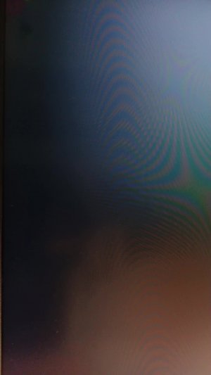 Играем в Um Jammer Lammy