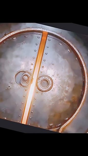 Мстители 6 Думсдей, трейлер#shorts #avengersdoomsday #trailer