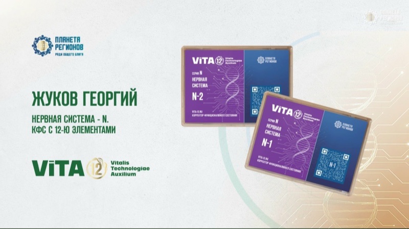 Жуков Георгий Нервная система серия N. КФС с 12-ю элементами