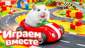 ХОМЯК ВЫБИРАЕТСЯ ИЗ СЕКРЕТНОЙ ХОМЯЧЕЙ ТЮРЬМЫ ! Играем ВМЕСТЕ 🏁 Помогаем выбраться из лабиринта №5