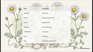 Биология 7 класс параграф 2 СИСТЕМАТИКА РАСТЕНИЙ
