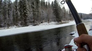 Хариус по заберегам. Закрытие сезона жидкой воды