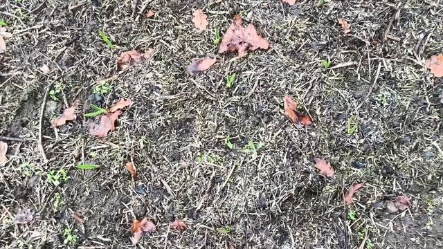 Дача Московская обл. Утепляем теплицу из внутри.