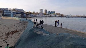 Анапа  23 ноября 2025 года