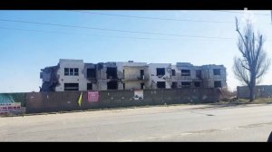 Һайн хэрэгтэ сугтаа! Хүмүүнлиг даабари