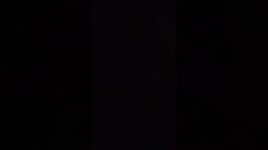 играю с котом светящейся палочкой😁