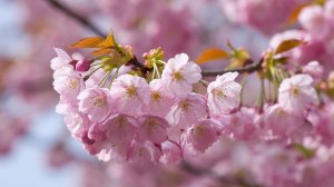 Лёгкая позитивная музыка для вечера.