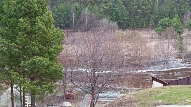 VID_20260409_165124 смотреть онлайн