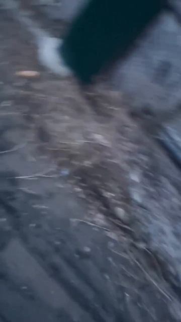 10.04.2026 в Первоуральск отгружен плитняк Уральский Златолит, карьер Https://plitnyak-kamen.ru