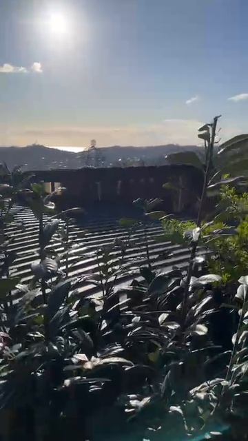 VIDEO-2026-04-08-17-23-16