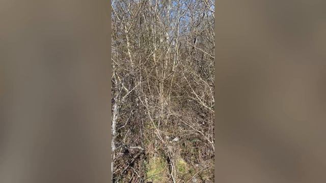 Video-output-A1D5256A-0B3B-4BAB-B60C-BBF8A0A9C8A1-1