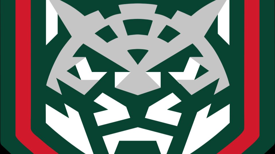 ХК Ак Барс г. Казань - ХК Волна г. Казань