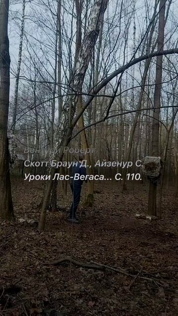 1037 460  (Вентури-007) 
Рассмотрим, Предложил Вентури, Суровый Модернистский Брутализм 1968 года; З