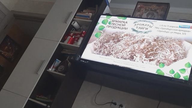 VozduzhnayatrevogaOrenburg2026 (ПРАВДА)