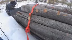 ПОЕЗДКА НА БОЛОТО ЗА СУХИМИ ДРОВАМИ С РЫЖИМ ЛЁХОЙ!