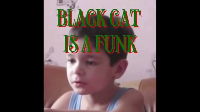 BLACK CAT IS A FUNK (Ultra Slowed)