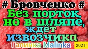 Семья Бровченко _Без порток, но в шляпе, ждёт извозчика _Обзор Влогов _