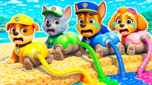 ЩЕНЯЧИЙ ПАТРУЛЬ ПОТЕРЯЛИ ЦВЕТА ГОНЩИК СКАЙ КРЕПЫШ РОККИ в МАЙНКРАФТ МУЛЬТИК