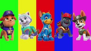 Щенячий Патруль против Друзей: Музыкальный Баттл в Тайлс Хоп