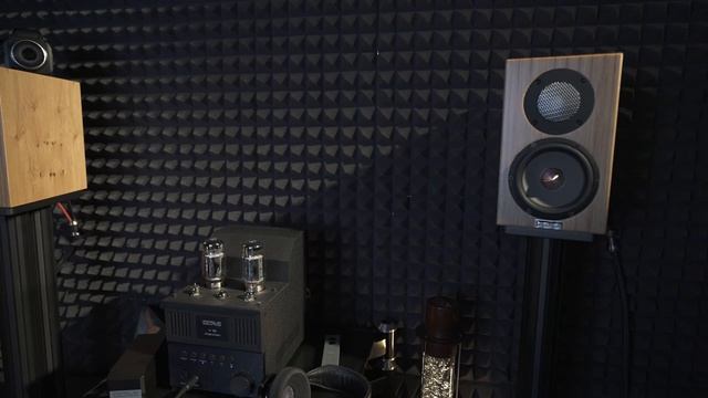 Усилитель Octave V16 с акустикой Penaudio Cenya Diamond