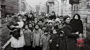 Международный день освобождения узников фашистских концлагерей отметили в Братске