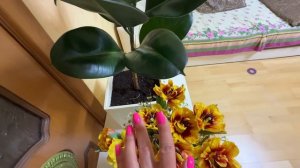 УЛЕТЕЛА В ТЁПЛЫЕ КРАЯ БОЛЬНАЯ✈️