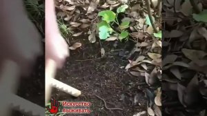 Заклинание червей