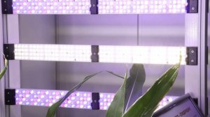 Седьмой континент. Как будет создаваться международная научная лунная станция