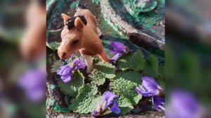 фотосет 🤗 летом буду снимать чаще!♥️