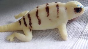 Суровость Кента (короткометражка 1998)