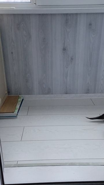 Не пускают домой😂😂