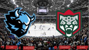 Динамо Минск - Ак Барс