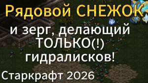 ЛУЧШИЙ ПРОТОСС современности против странного зерга делающего только гидру - StarCraft Remastered