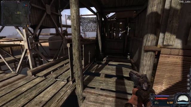 Сталкер. Чистое небо: Болото